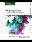 Adopting Elixir