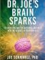 Dr. Joe's Brain Sparks