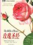 玫瑰圣经