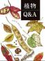 植物Q&A