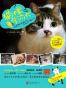 猫咪学问大