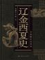 辽金西夏史