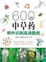 600种中草药野外识别高清图谱